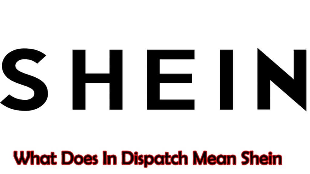 What Does In Dispatch Mean Shein