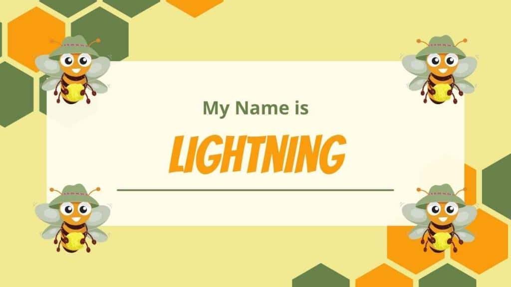 Lightning Name Meaning