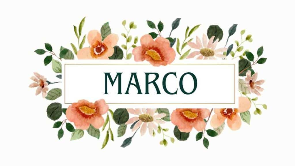 Marco Name Cover