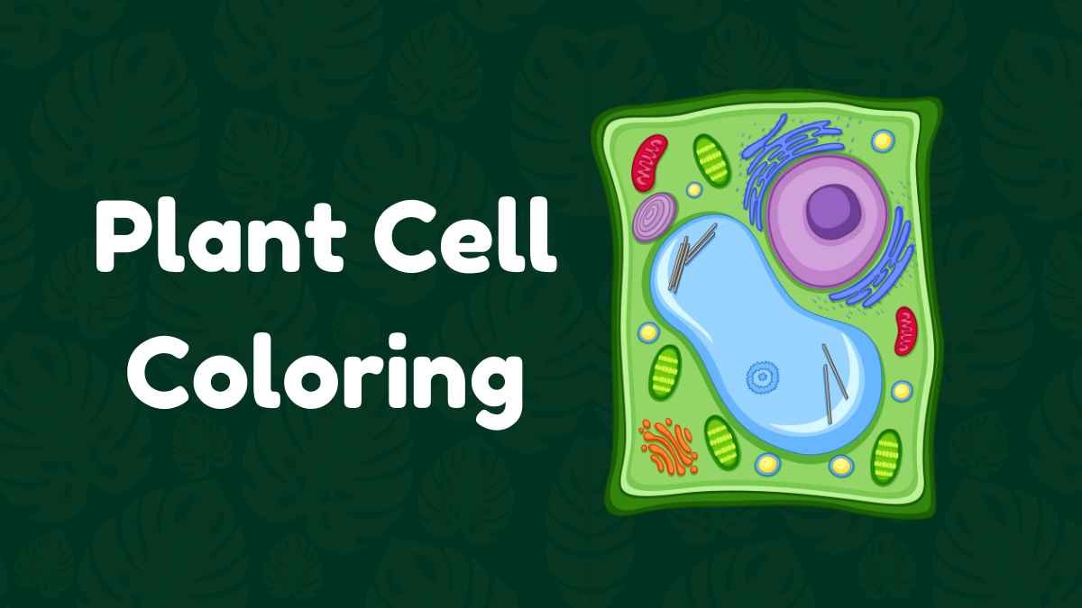 Plant Cell Coloring: A Comprehensive Guide in 2024